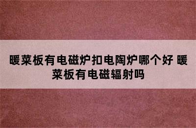 暖菜板有电磁炉扣电陶炉哪个好 暖菜板有电磁辐射吗